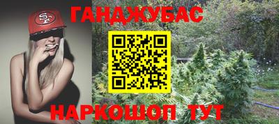 PSILOCYBIN Гагарин