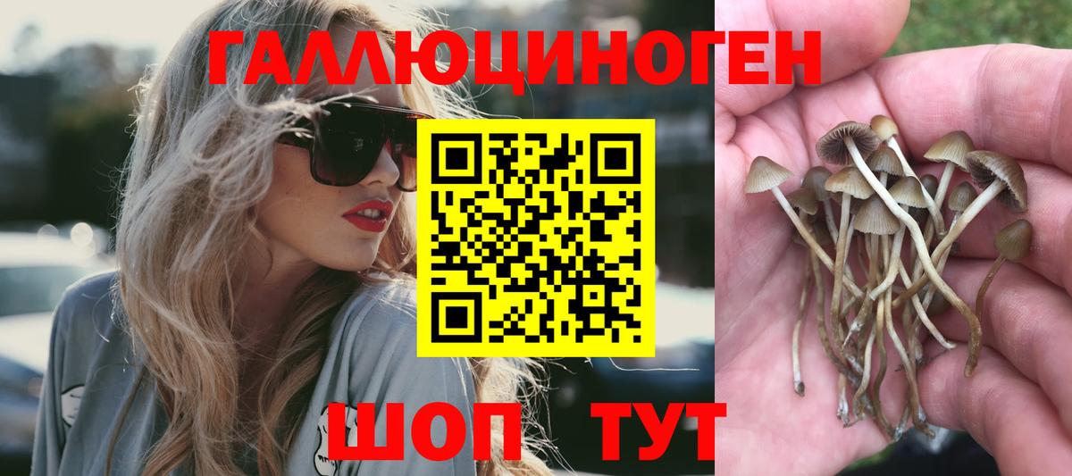 Галлюциногенные грибы мухоморы Жигулёвск